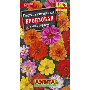 Георгина Бронзовая, смесь сортов --- Одн