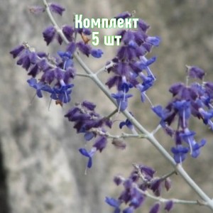 Комплект 5шт / Перовския лебедолистная Филигрань