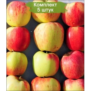 Саженцы яблони Бессемянка -  комплект 5 шт.