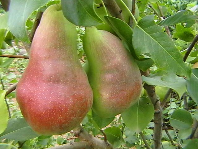 Тренировки с мешками и боксерскими грушами: руководство эксперта